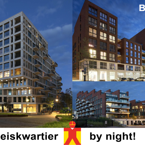 Paleiskwartier_By_Night_200907.jpg
