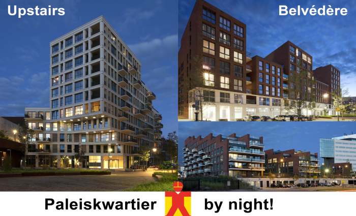 Paleiskwartier_By_Night_200907.jpg