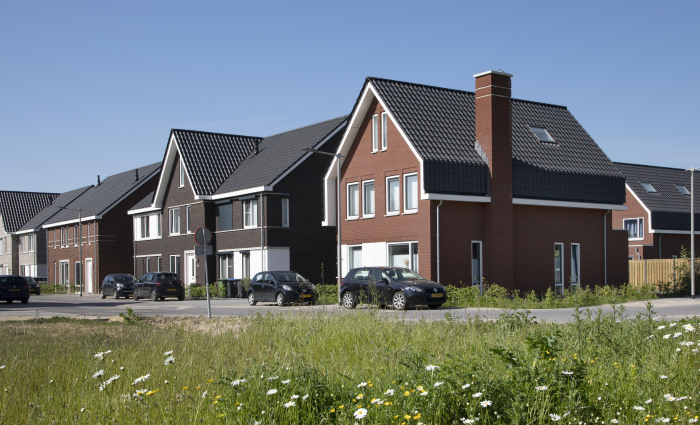 erf aan de weide fase 3 en 4 (20).jpg