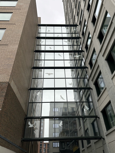 HighLane_05.jpg